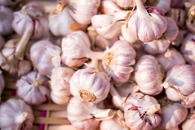Dehydrated Garlic Flakes & Powder — Wholesale Grade A